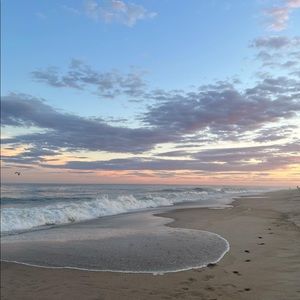 Meet your Posher, Delaney